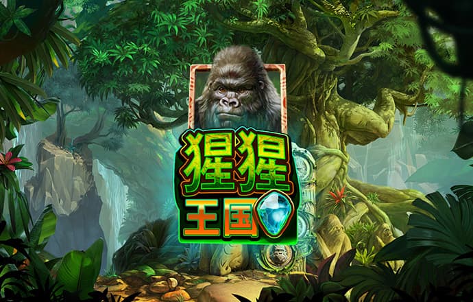 华体汇官方app